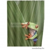DIPLON - Zuhanyfüggöny, 180x200cm - Textil - Zöld színű, béka mintás (CN73144)