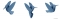 UMBRA - HUMMINGBIRD - Fali dekoráció szett (9db) - Kolibris, öntapadós - Zöld, kék, fehér