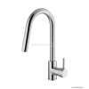 DIPLON - Álló mosogató csaptelep kihúzható zuhanyfejjel - Rozsdamentes fém (ST2557)