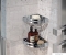 GEDY - NERVA - Fürdőszobai sarokpolc zuhanyzóba, 21x21 cm - Szálcsiszolt rozsdamentes acél