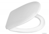 AQUALINE - RIGA - WC ülőke, tető - Fehér duroplast (RG901)